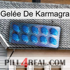 Gelée De Karmagra viagra1